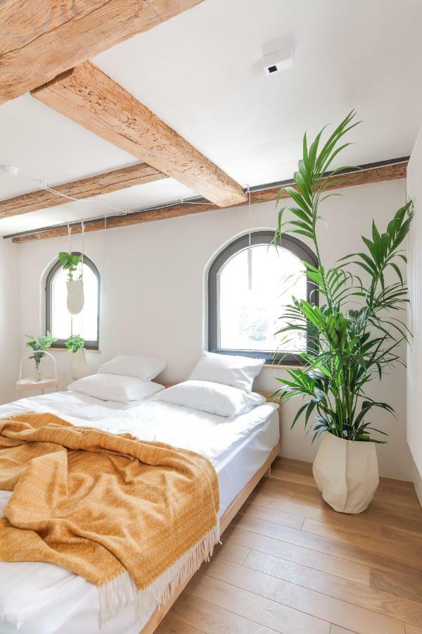 Apartamenty Monka Stary Toruń Exteriör bild